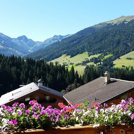 Hanslerfeld Alpbach Dış mekan fotoğraf