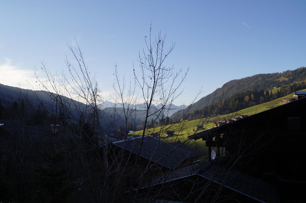 Hanslerfeld Alpbach Oda fotoğraf