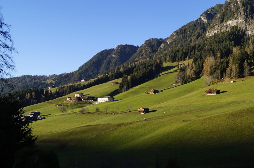 Hanslerfeld Alpbach Oda fotoğraf