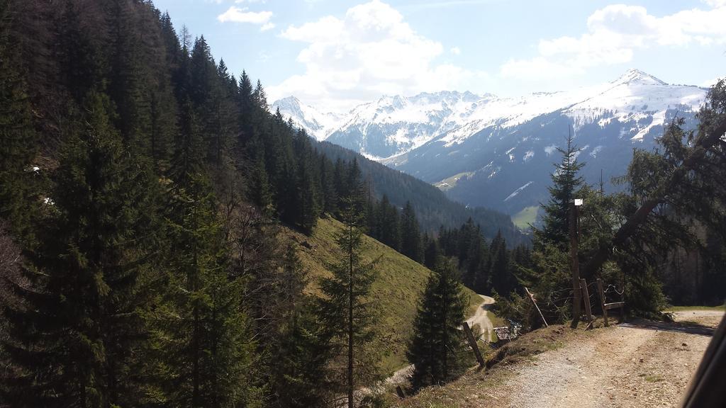 Hanslerfeld Alpbach Dış mekan fotoğraf