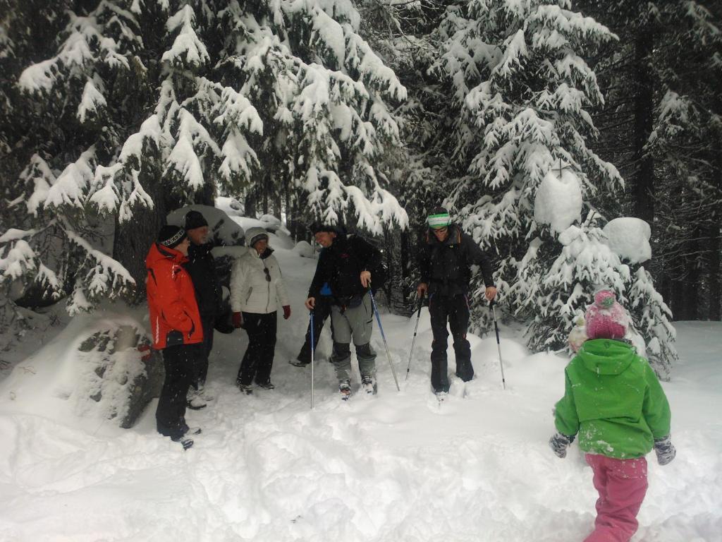 Hanslerfeld Alpbach Dış mekan fotoğraf