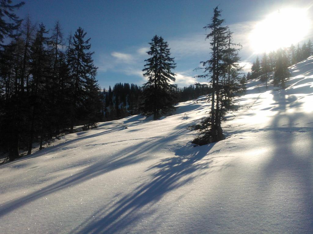 Hanslerfeld Alpbach Dış mekan fotoğraf