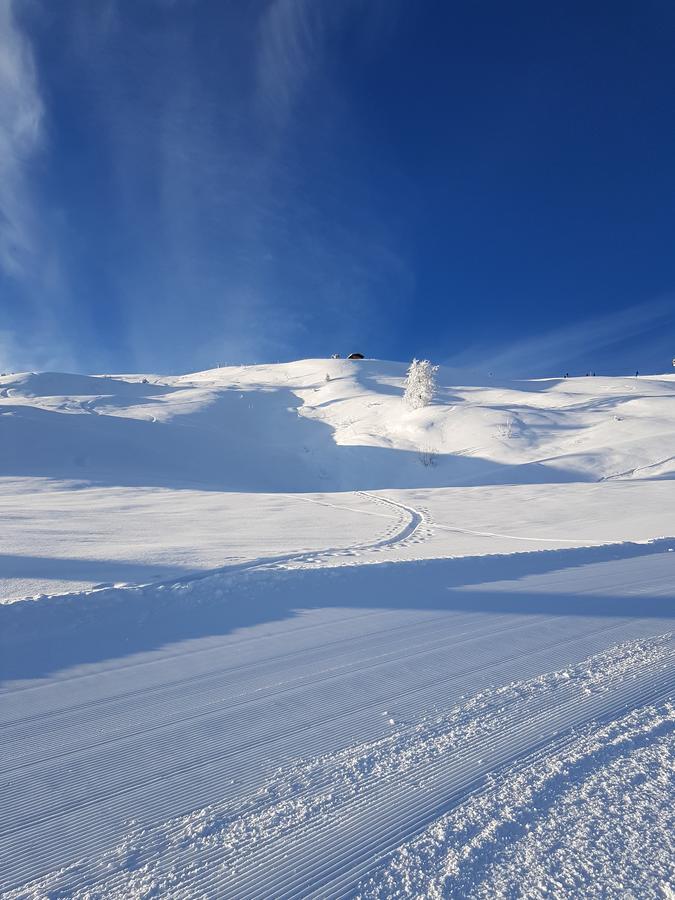 Hanslerfeld Alpbach Dış mekan fotoğraf