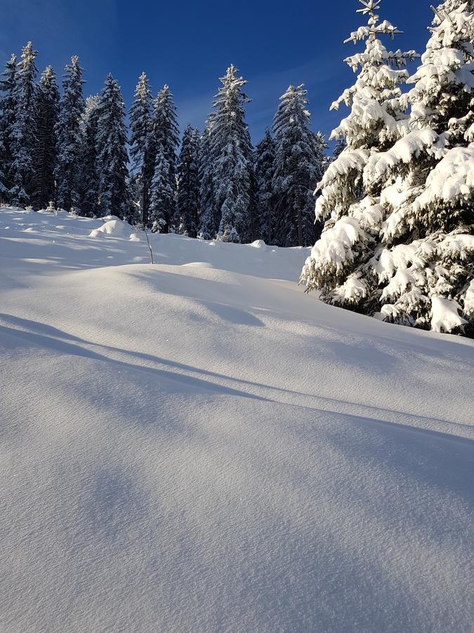 Hanslerfeld Alpbach Dış mekan fotoğraf