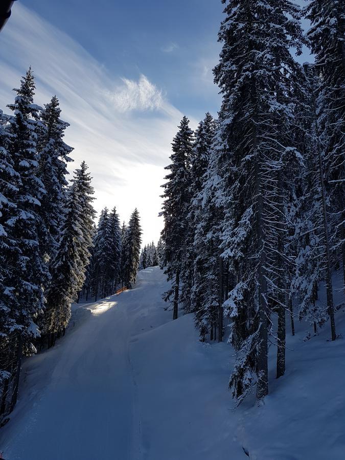 Hanslerfeld Alpbach Dış mekan fotoğraf