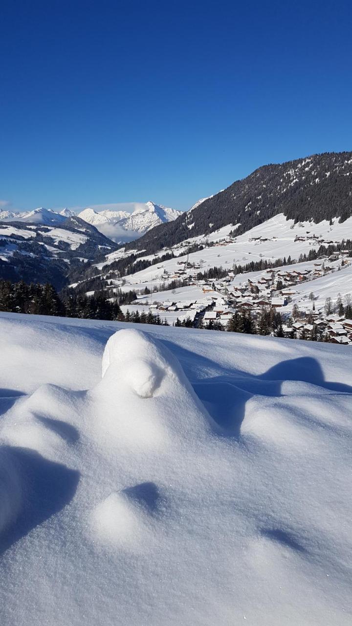 Hanslerfeld Alpbach Dış mekan fotoğraf