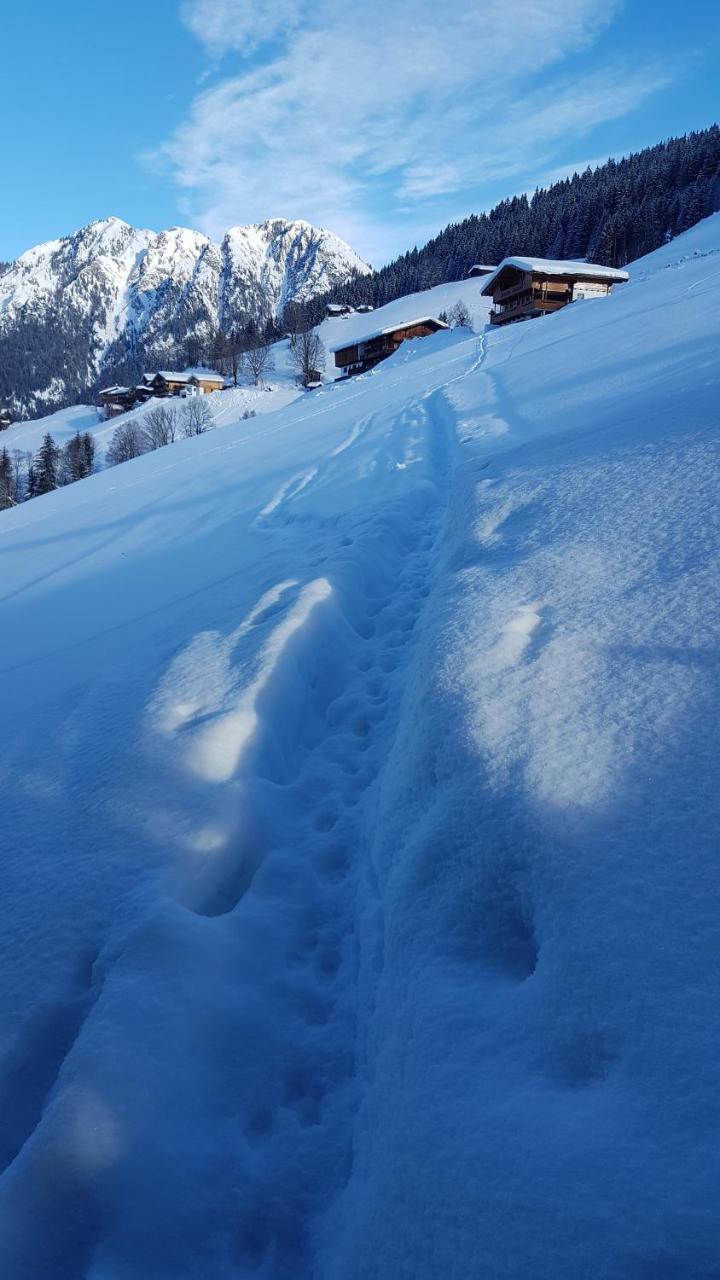 Hanslerfeld Alpbach Dış mekan fotoğraf