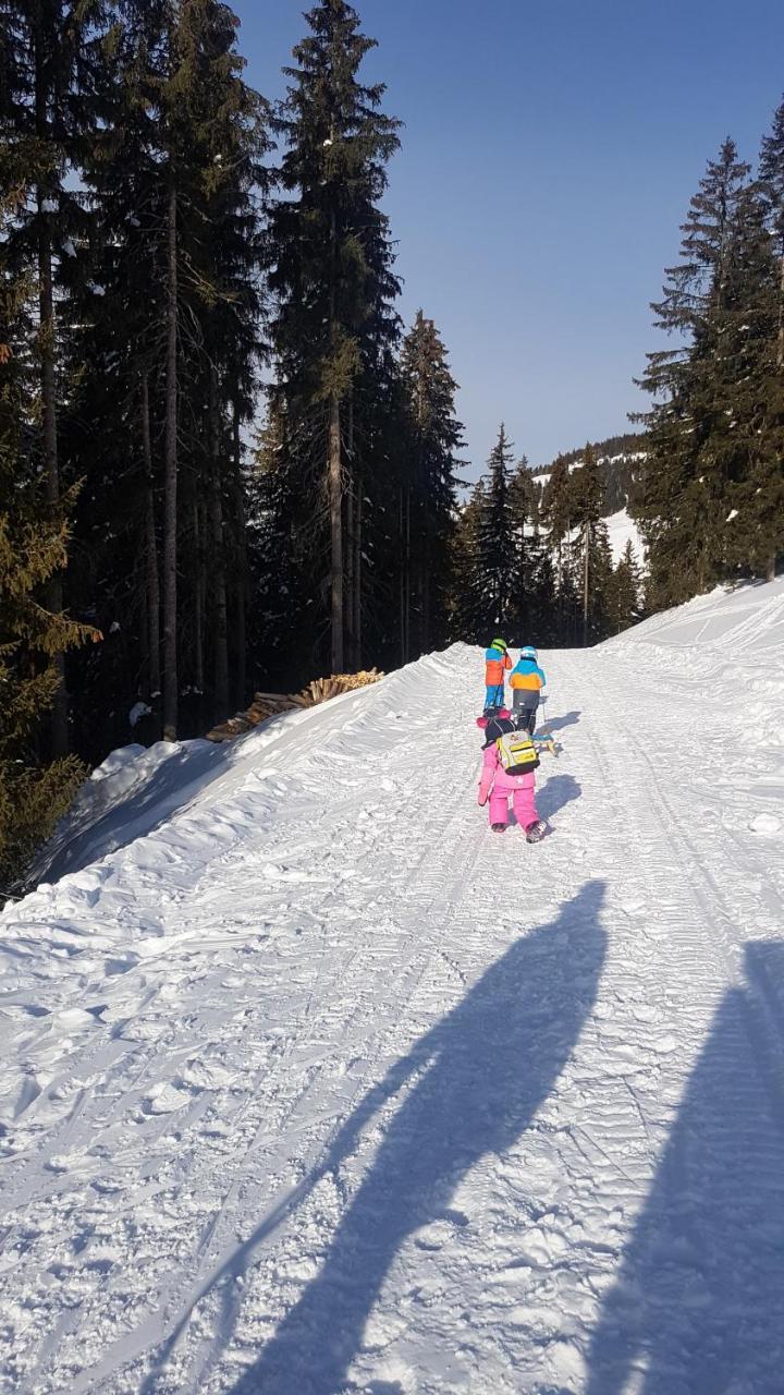 Hanslerfeld Alpbach Dış mekan fotoğraf