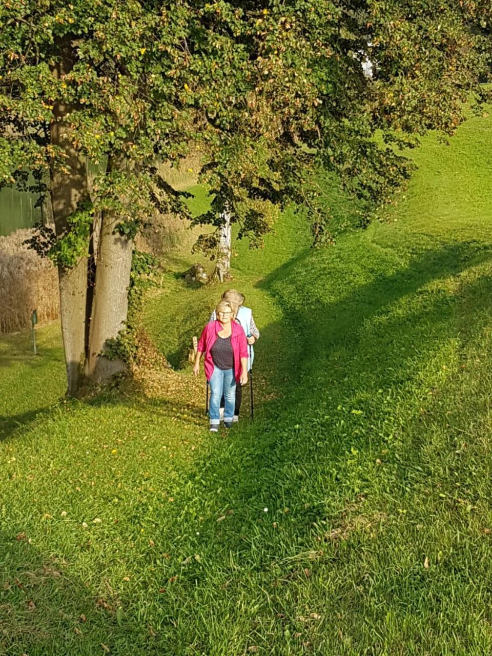 Hanslerfeld Alpbach Dış mekan fotoğraf